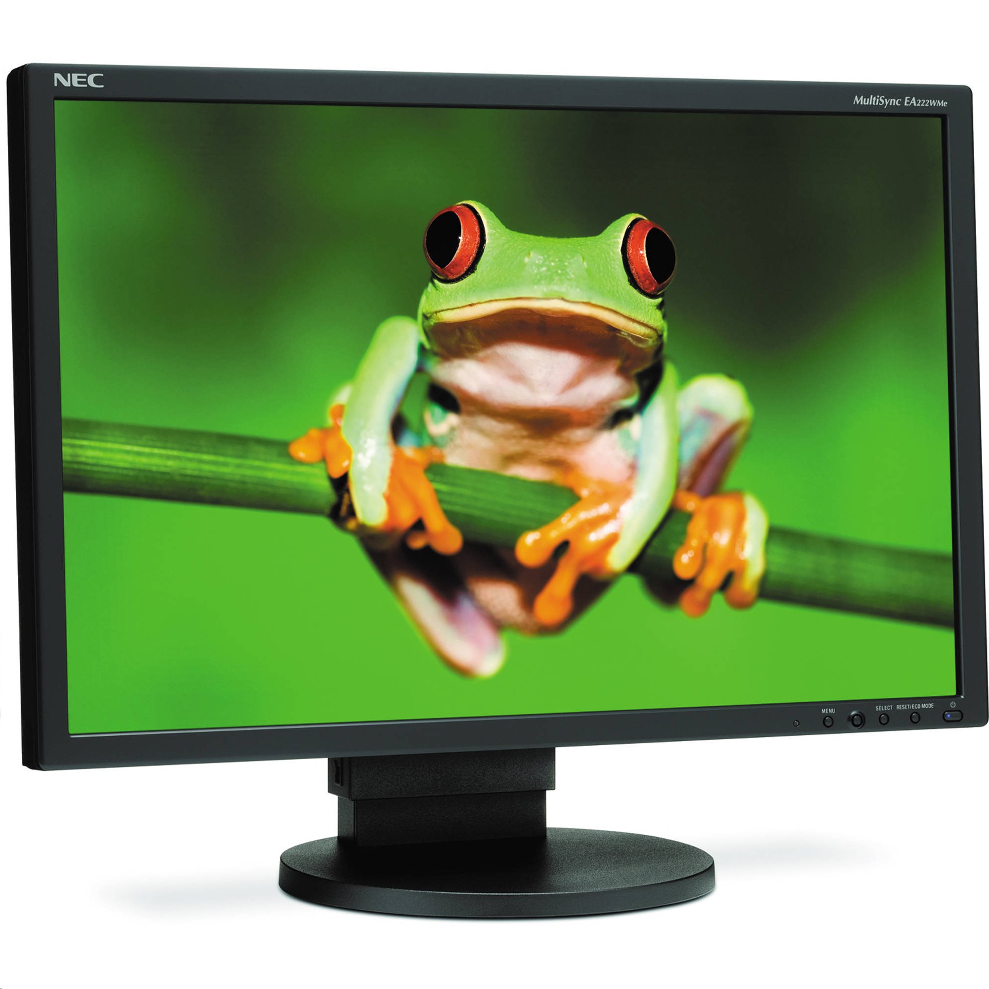 NEC MultiSync E222W