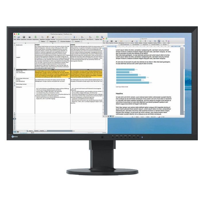 EIZO FlexScan EV2416W