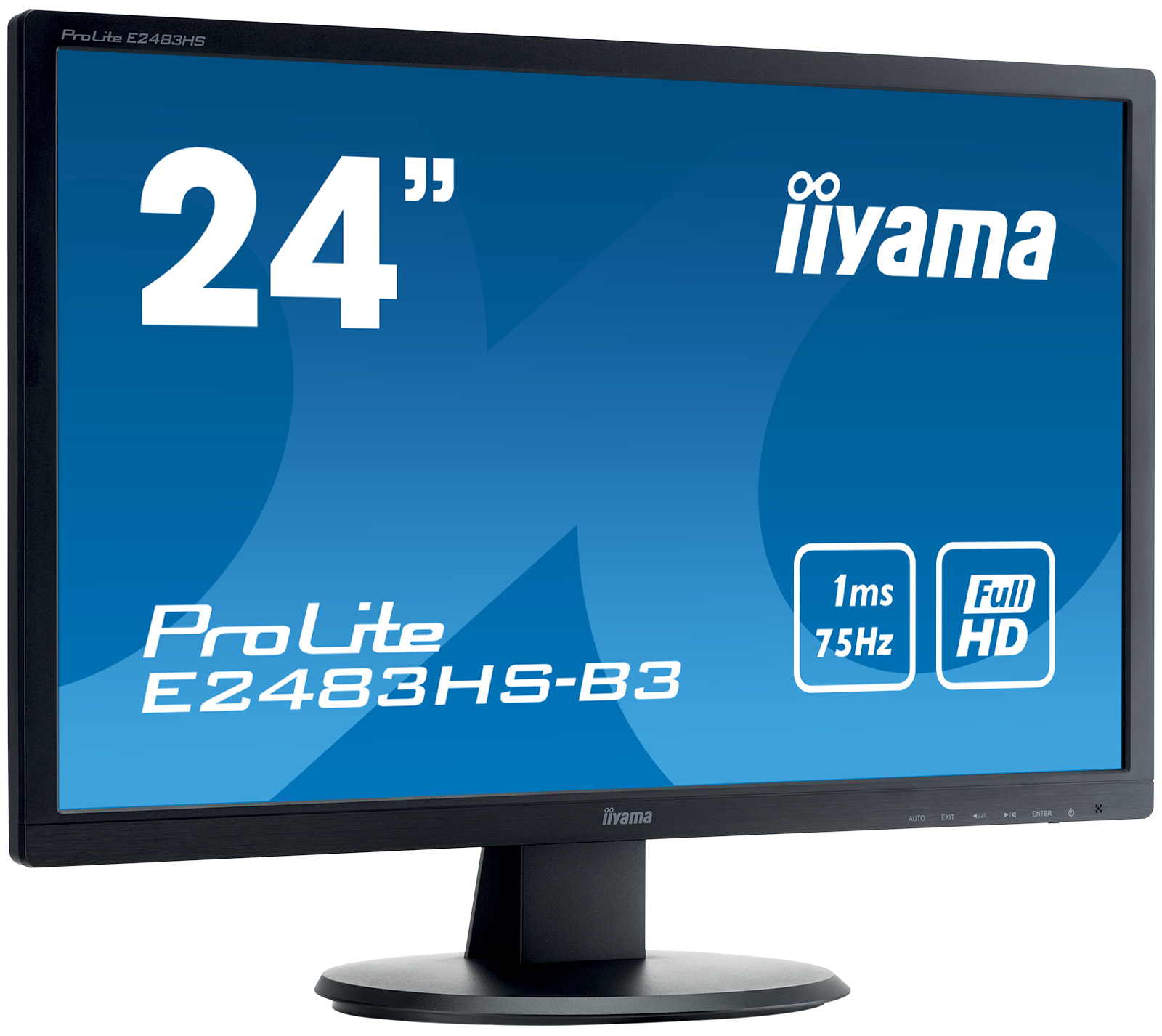 Iiyama ProLite E2483HS