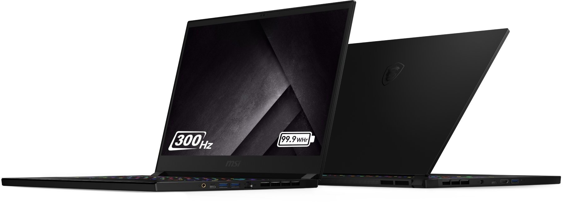 MSI GS66 Stealth 10SFS-670ES
