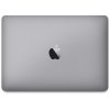 Apple MacBook 12 Early 2015 (A1534) space gray (2)