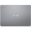 Asus Chromebook C223NA-GJ0006