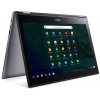 Acer Chromebook Spin 15 CP315-1H-P9C1