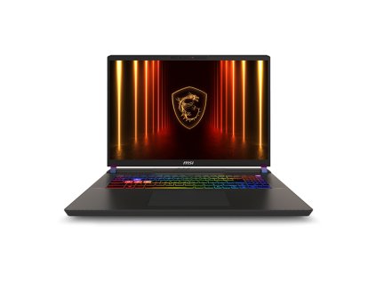 191145 msi vector 17 hx ai a2xwig 040de