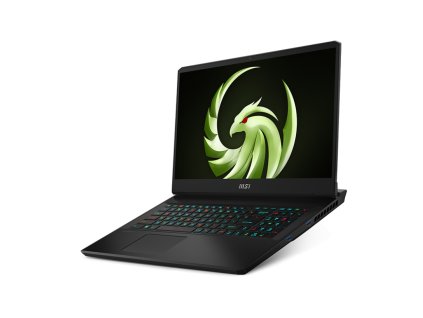 MSI Alpha 17 C7VG (1)