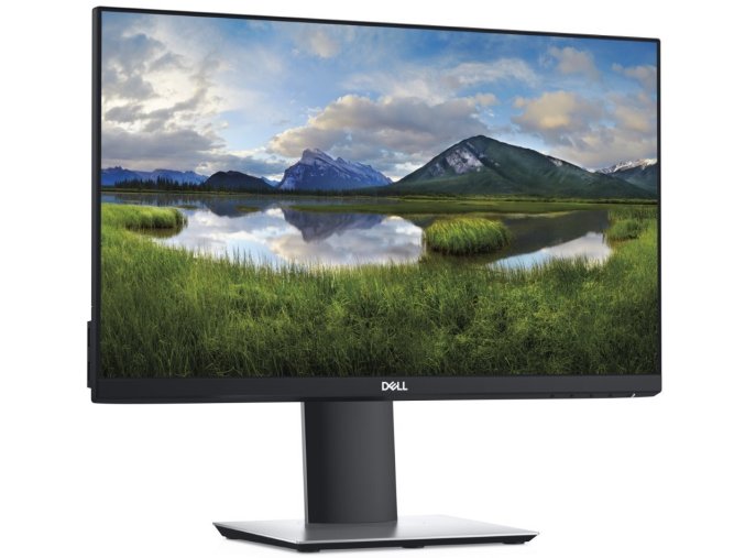 Dell P2219H 1