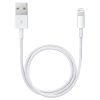 usb apple lightning