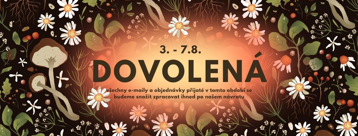 V tomto termínu čerpáme dovolenou
