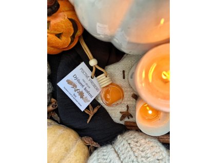 Vůně do auta - Dýňové koření