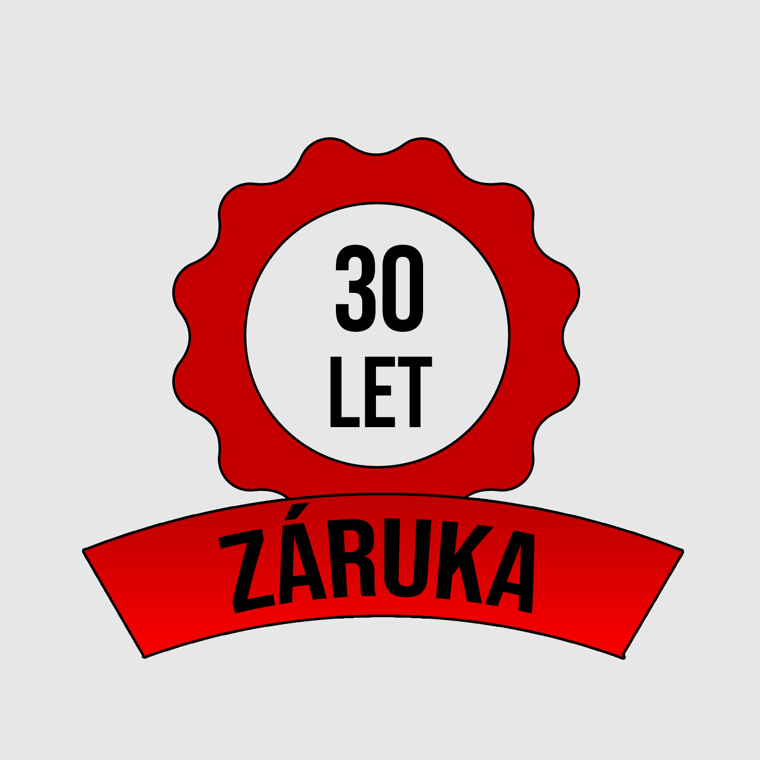 zaruka30let
