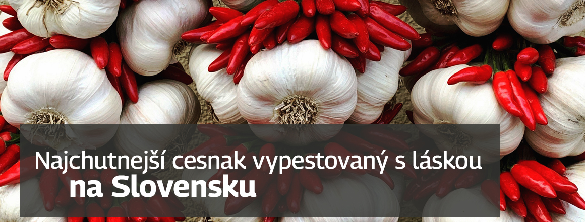Slovenský cesnak