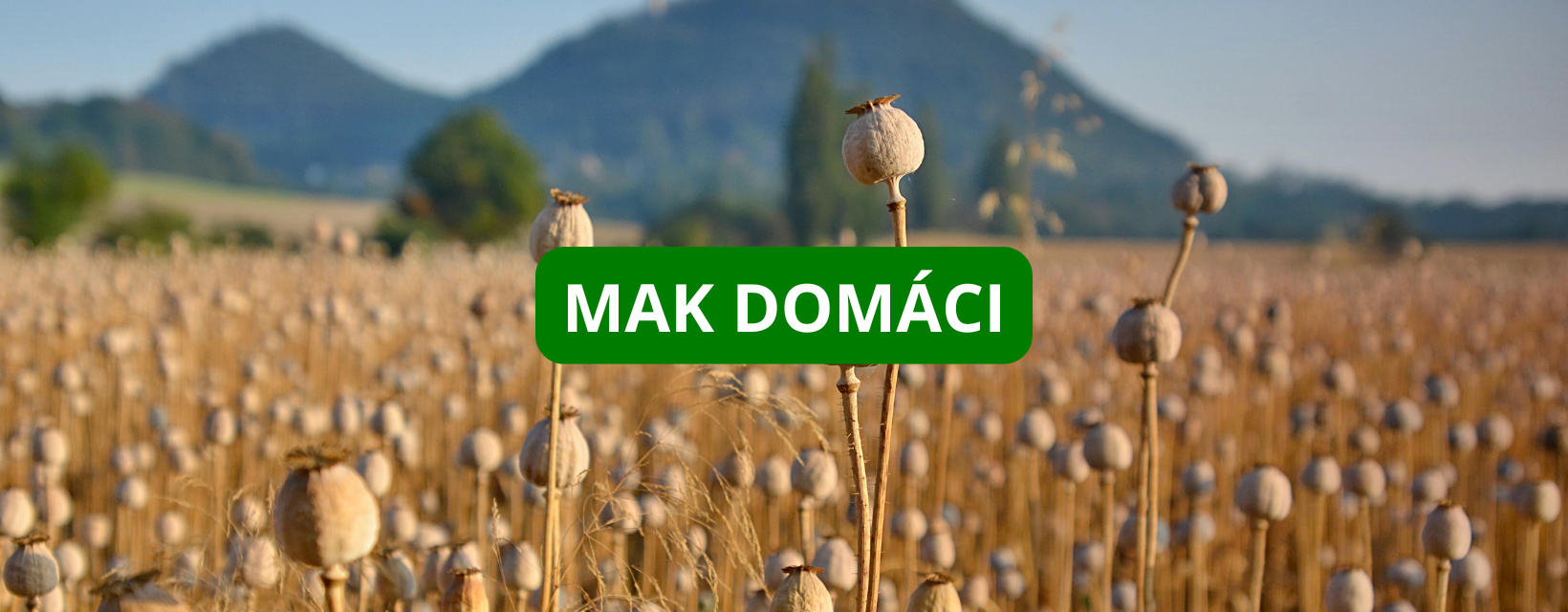 Mak domáci