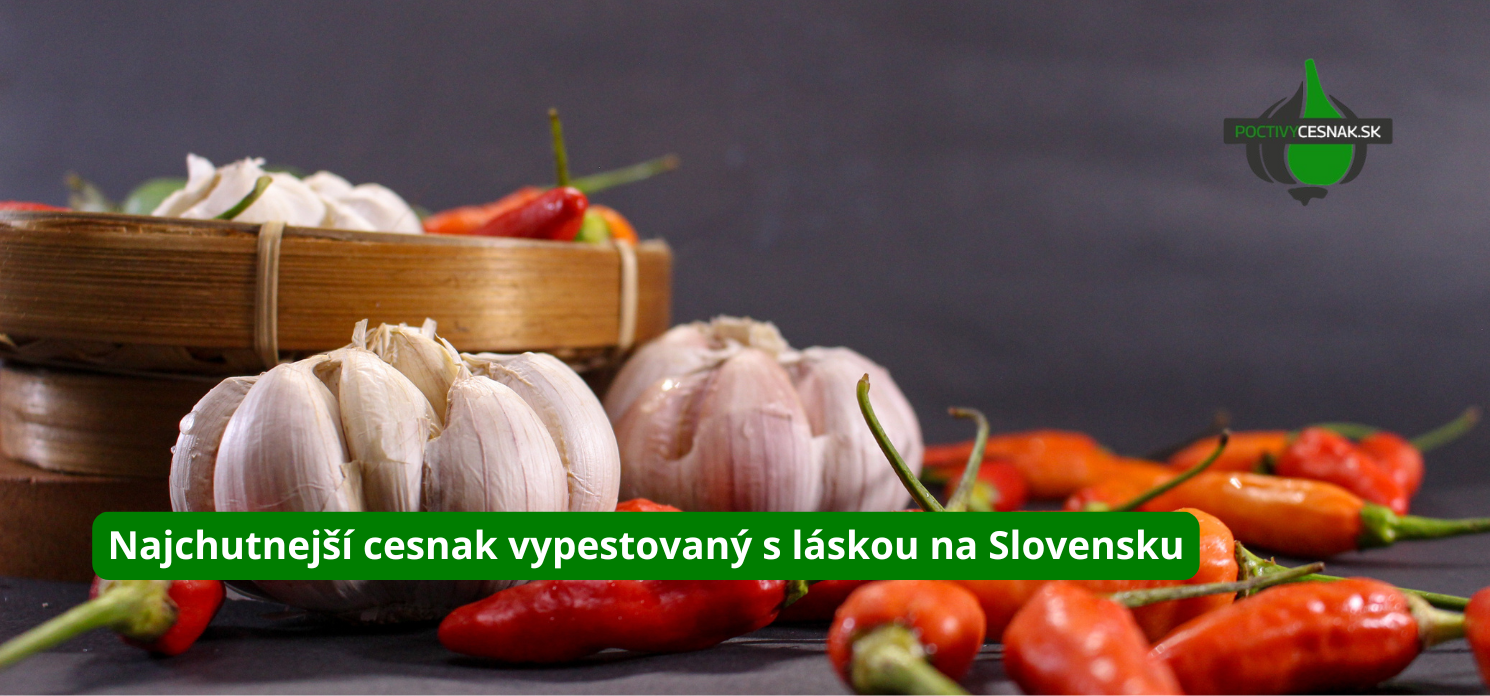 cesnak