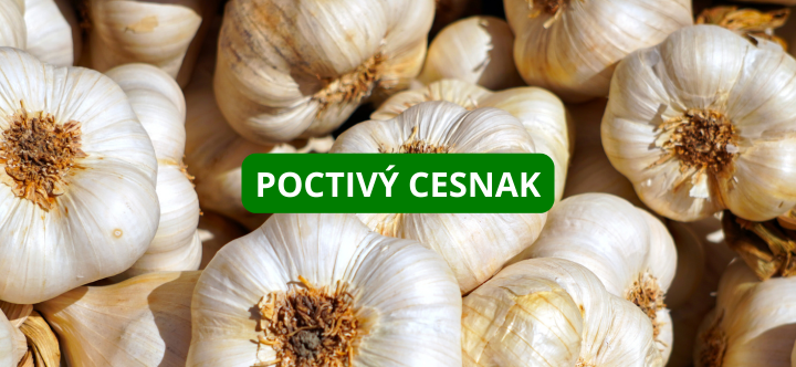 Poctivý cesnak