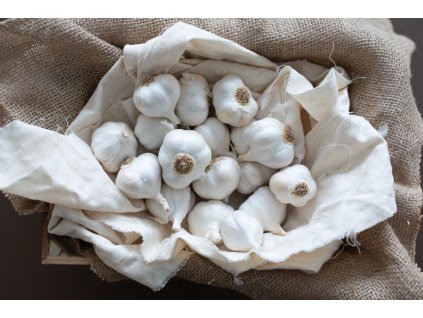 poctivy cesnak dof3 14