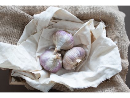 poctivy cesnak dof3 17