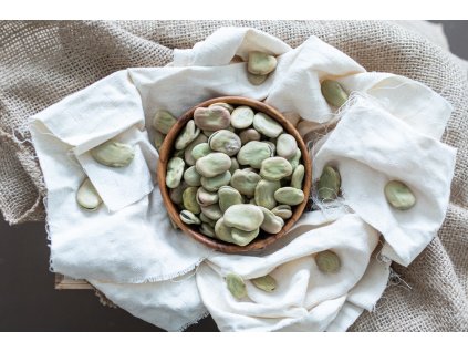 poctivy cesnak dof3 5