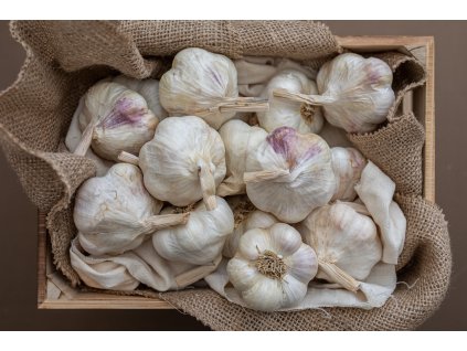 poctivy cesnak dof2 12