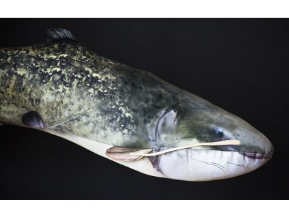 GABY polštář Sumec 115cm