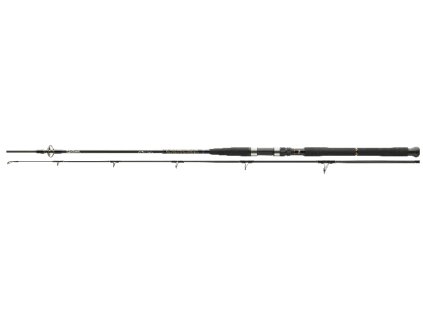 Daiwa prut BG Pilk 2.40m  40-100g