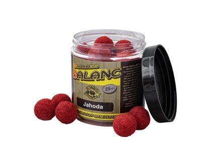 Carp Servis Václavík Boilies Balanc - 120g/25mm