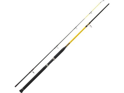 WFT prut Never Crack Catfish Boat 250-1000g 2.70m