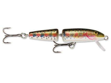 Rainbow Trout