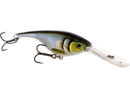 p046 babybite dr crankbait headline large