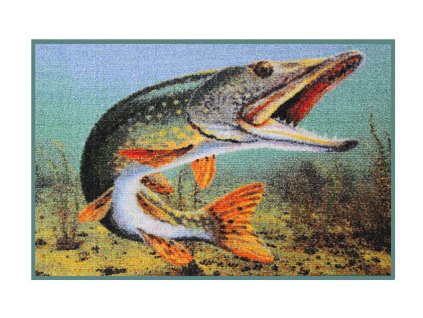 426164a66a0d2c540d4afce06d58d4b1