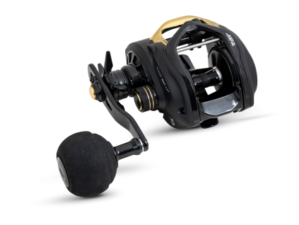 bc 00000641 cast301lh main