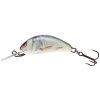 Salmo wobler Hornet Sinking - Real Dace / 2,5cm