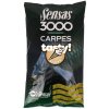 Sensas Krmítková směs 3000 Carp 1kg