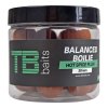 TB Baits Vyvážené Boilie Balanced + Atraktor 20mm/100g