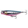 Pink Belly Sardine