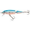 wobler holo select horn qm FN