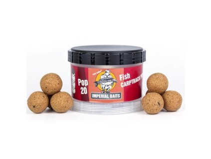 products ib carptrack flying big fish shopstarter 720x