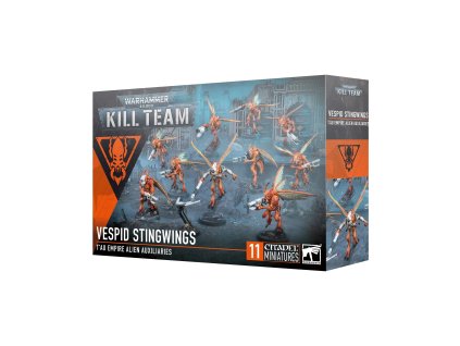 Warhammer 40000: Kill Team - Vespid Stingwings (ENG)