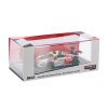 Audi R8 LMS #7 FIA GT World Cup 2016 164 TARMAC Models (1)
