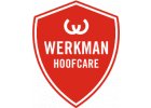 Werkman