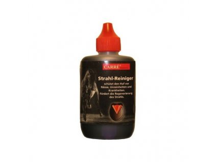 Strahl Reiniger Carre desinfekce 59ml