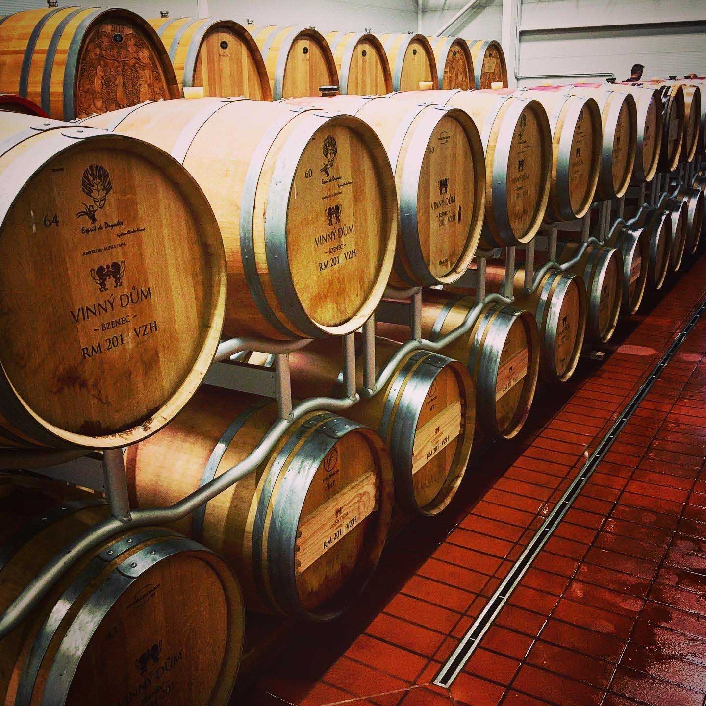 Degustace vín z francouzských sudů! Máme vybráno...