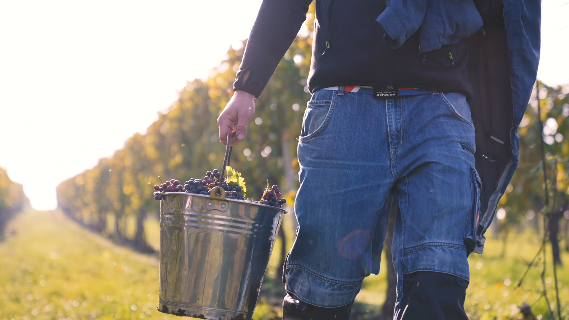 Nové video o našem Vinařství od Markuse Kruga