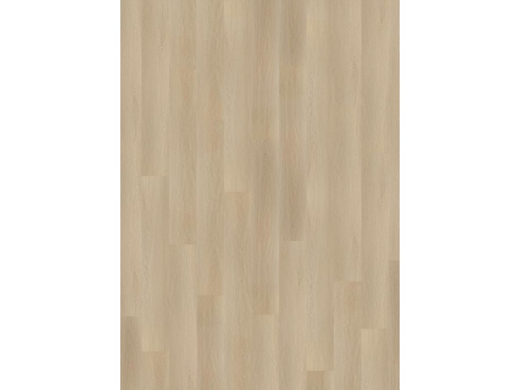 Patagonia oak beige