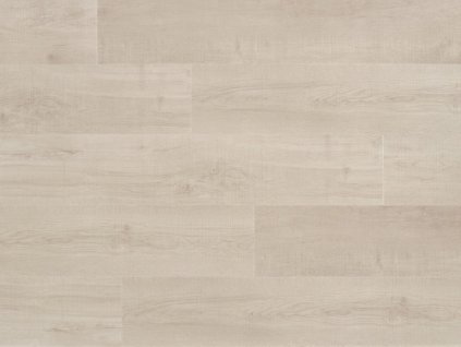 stardust coretec pro plus 50 rlv 1205 web 1024x768