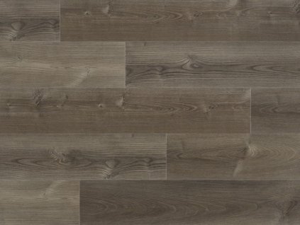 candler coretec pro plus 50 rlv 1209 web 1024x768