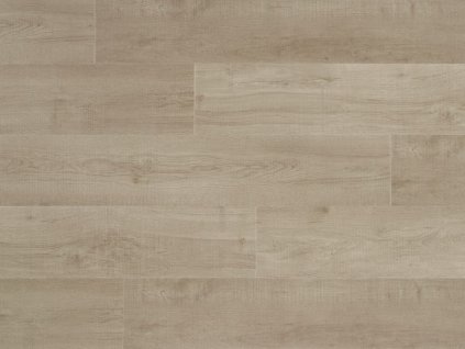 cherkin coretec pro plus 50 rlv 1206 web 1024x768