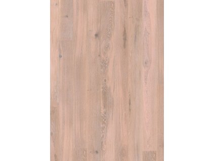 Dub Coral, 2