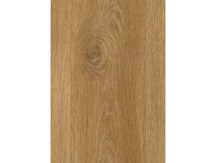 Laminátová podlaha - EGGER PRO LAMINATE 2021+ / CLASSIC 8/33 4V / Dub Punata PC236