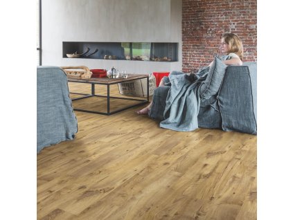 BACL40029 1 2