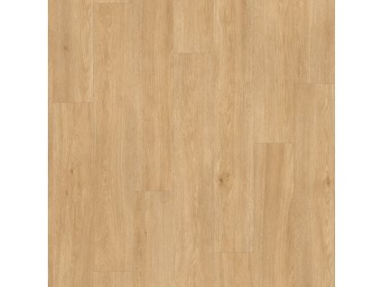 BACL40130 1